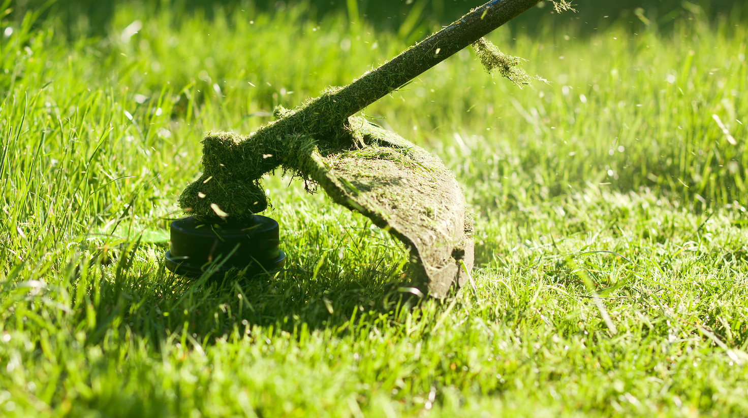 Lawn Care Workers Temps Today Staffing Inc